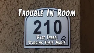 Trouble In Room 210 - Part Three