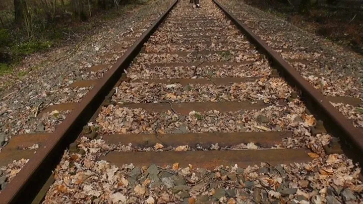 On the tracks (2018)