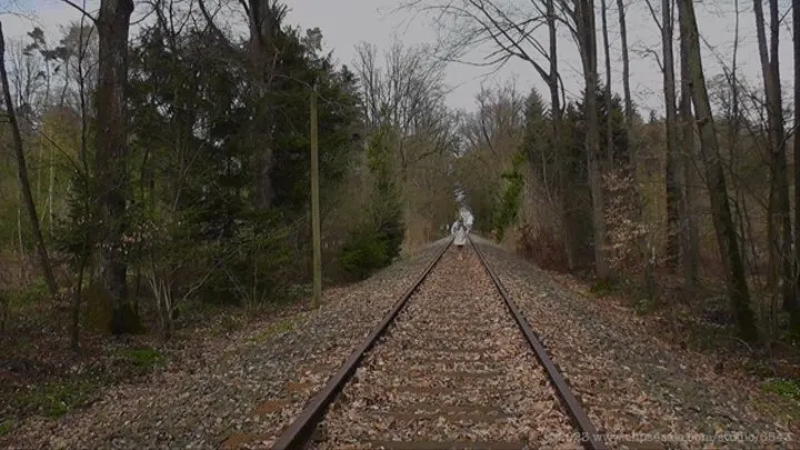 On the tracks again (2019)