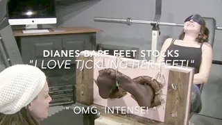 "OMG Finally!" Diane gets her nylons ripped off in the stocks!LOW