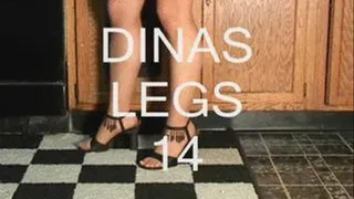 DINA SEXY LEGGS CLASSIC 1