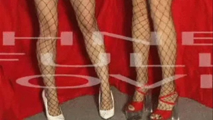 SEXY FISHNET STOCKING BABES 1