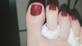 Freshly Painted Toenails 532019