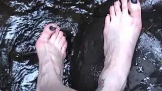 Wet feet nature