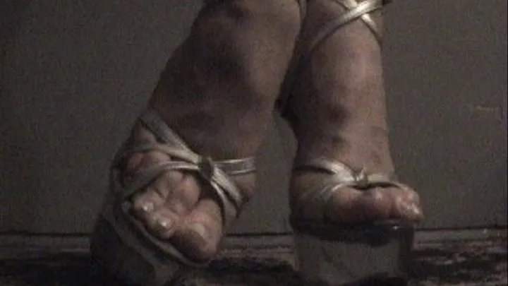 Silver shoes, toes