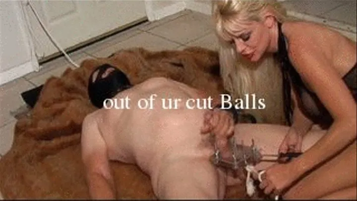 Crushing the Cum Out of ur Balls