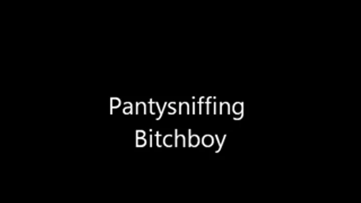 Pathetic Panty Sniffing Bitch Boy