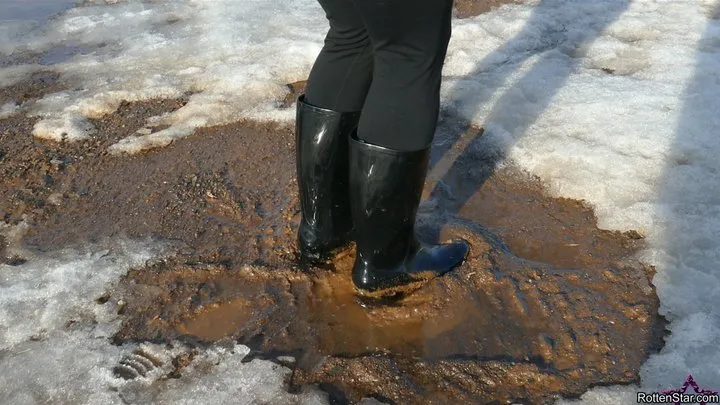 Snow and Mud Wellies (RS2185)