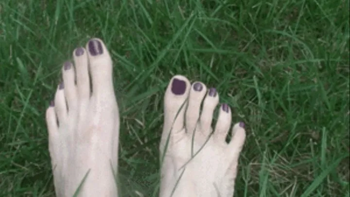 Toes in grass.