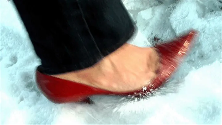 Casadei Pumps In The Snow 2 - Ice Crush