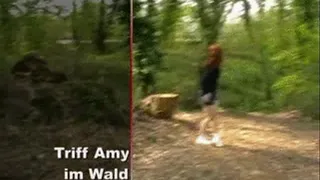 Meet Amy In the Forest (Art.No. c00491)