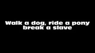 Walk a ride a pony and break a slave