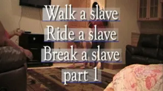 Walk a slave, ride a pony, and break a slave part one** **