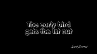 The early bird gets the nut