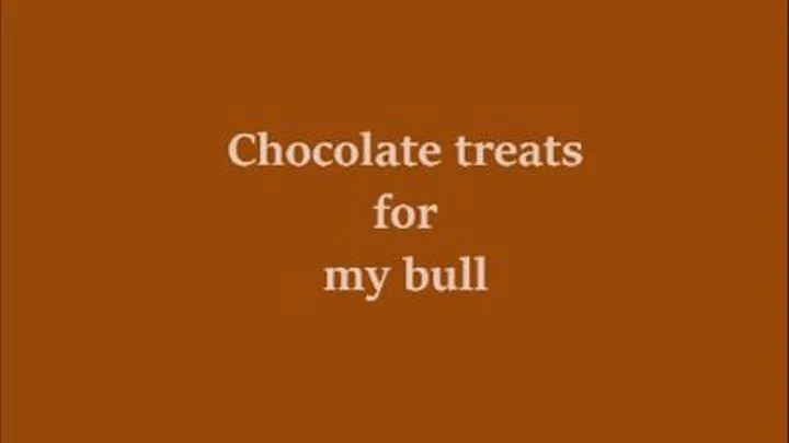 Chocolate treats for my sweet bull