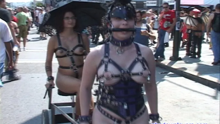 Ponygirls in the streets of San Francisco, Part 2