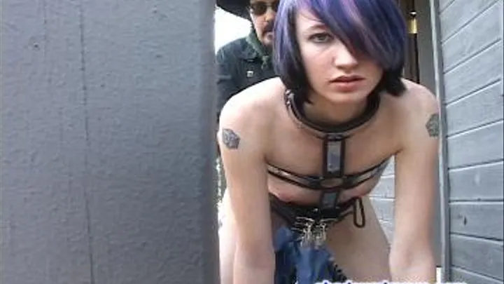 Ponygirl Kitten Outdoors, Part 1