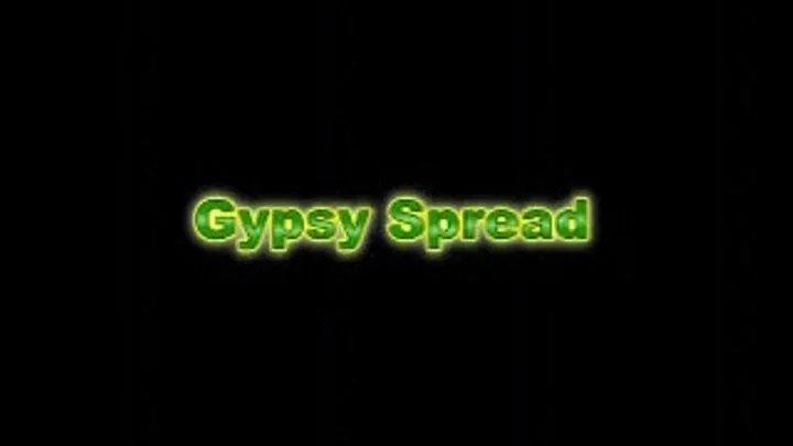 Gypsy Spread & Whipped