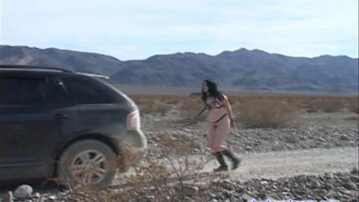 Ponygirl Sybil Hawthorne in DeathValley, Part 4