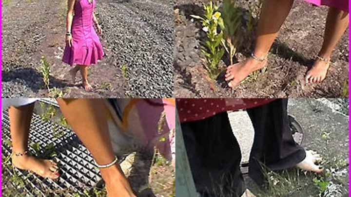 Barefoot Girls pick and crush Wild Plants with their Feet