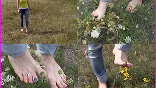 Janina crushes wild Plants and Flowers