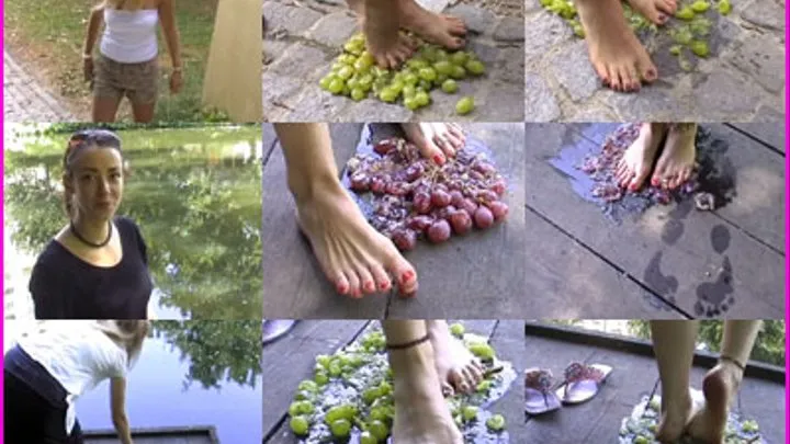 Barefoot Grape Crush