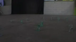 Nicki Finds Tiny Soldiers