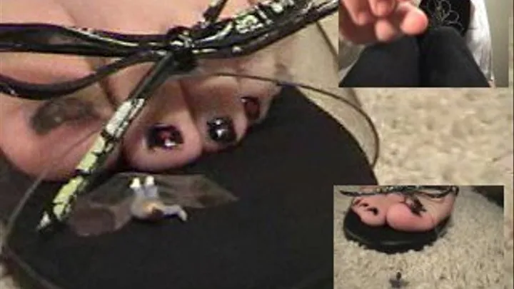 Lilly soles and sandal giantess2