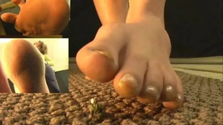 Jill giantess pov and tinyman