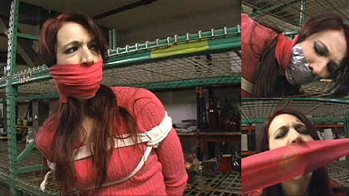 Thief Gets Bound and Gagged - Part 2