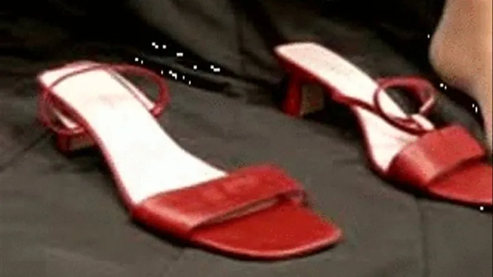 Daisy models her red shoes (low-quality )