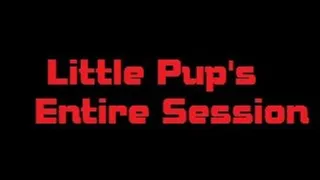 Little Pup's Entire Session