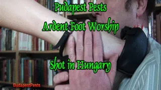 Budapest Pests - 07 Ardent Foot Worship