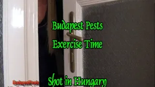 Budapest Pests - 04 - Exercise time