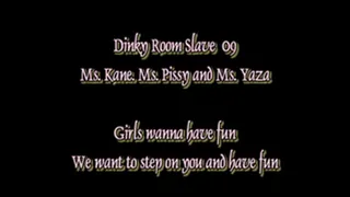 Dinky Room Slave 09 Girls wanna have fun