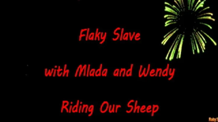 Flaky Slave - 13 - Riding our sheep