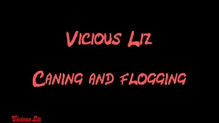 Vicious Liz - 02 Caning and Flogging