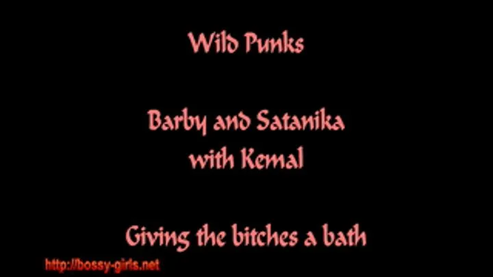 Wild Punks - 05 - Giving the Bitches a bath