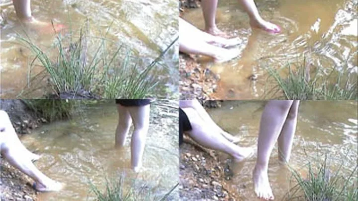 Pond Paddling