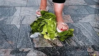 Crushed lettuce with sandals and my bare feet