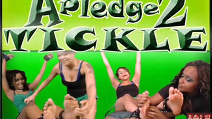 A Pledge 2 Tickle The Full 30 Minute Video Clip LARGESCREEN