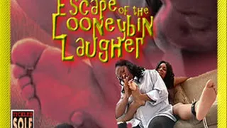 Escape of the LOONEYBIN LAUGHER!! (The full 32 minute video clip) SMALL SCREEN