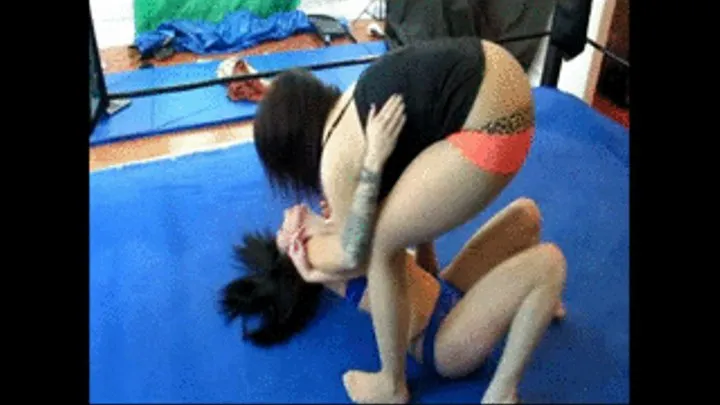 Wrestling Ragdoll part 2