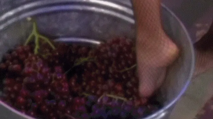 Squishy grapes on their toes