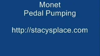 Monet Pedal Pumping - Clip 4