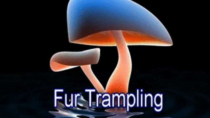 Fur Trampling Scene 2