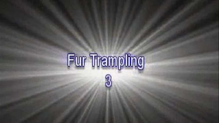 Fur Trampling Scene 3
