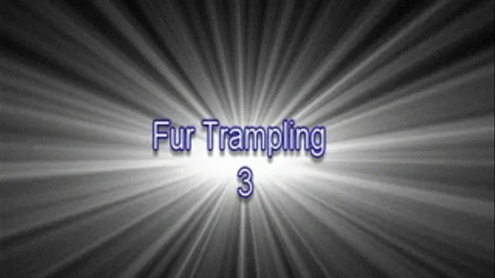 Fur Trampling Scene 3 MP4