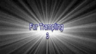 Fur Trampling 3