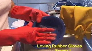 Loving Rubber Gloves Scene 1